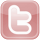Twitter Page